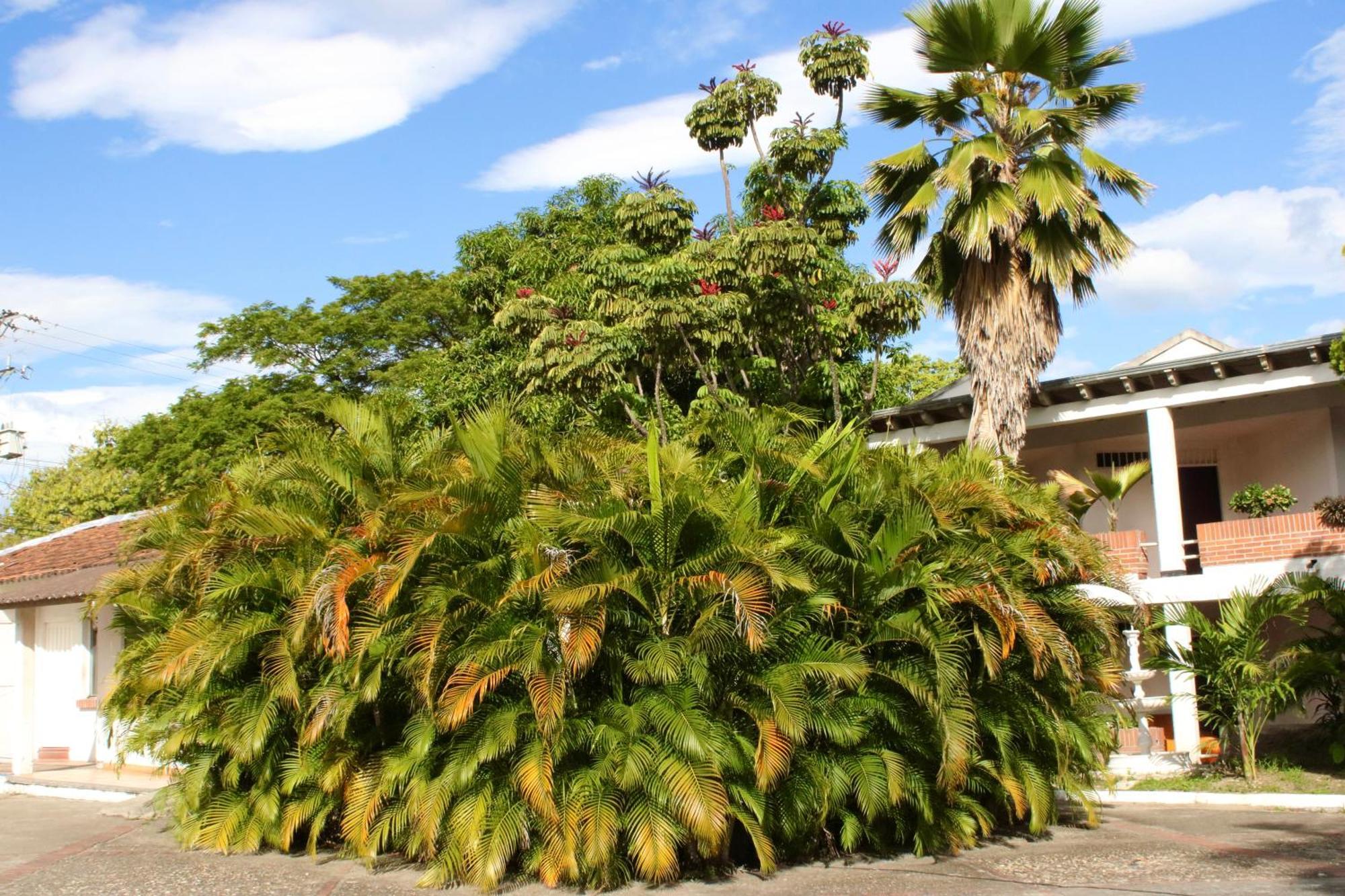 Hotel Mar Azul Neiva เนย์บา ภายนอก รูปภาพ